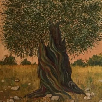 Giuseppe Signorile, Ulivo, olio su tela, 1988-I