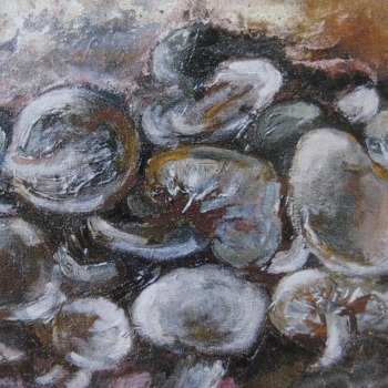 Giuseppe Signorile, Funghi, (olio su tela, cm_40x50)-I
